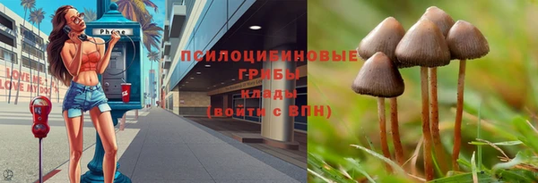 тгк Ладушкин