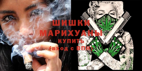 тгк Новодвинск